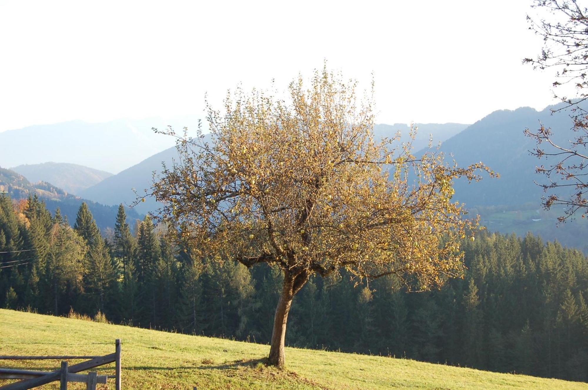 Walcherhof Arriach エクステリア 写真