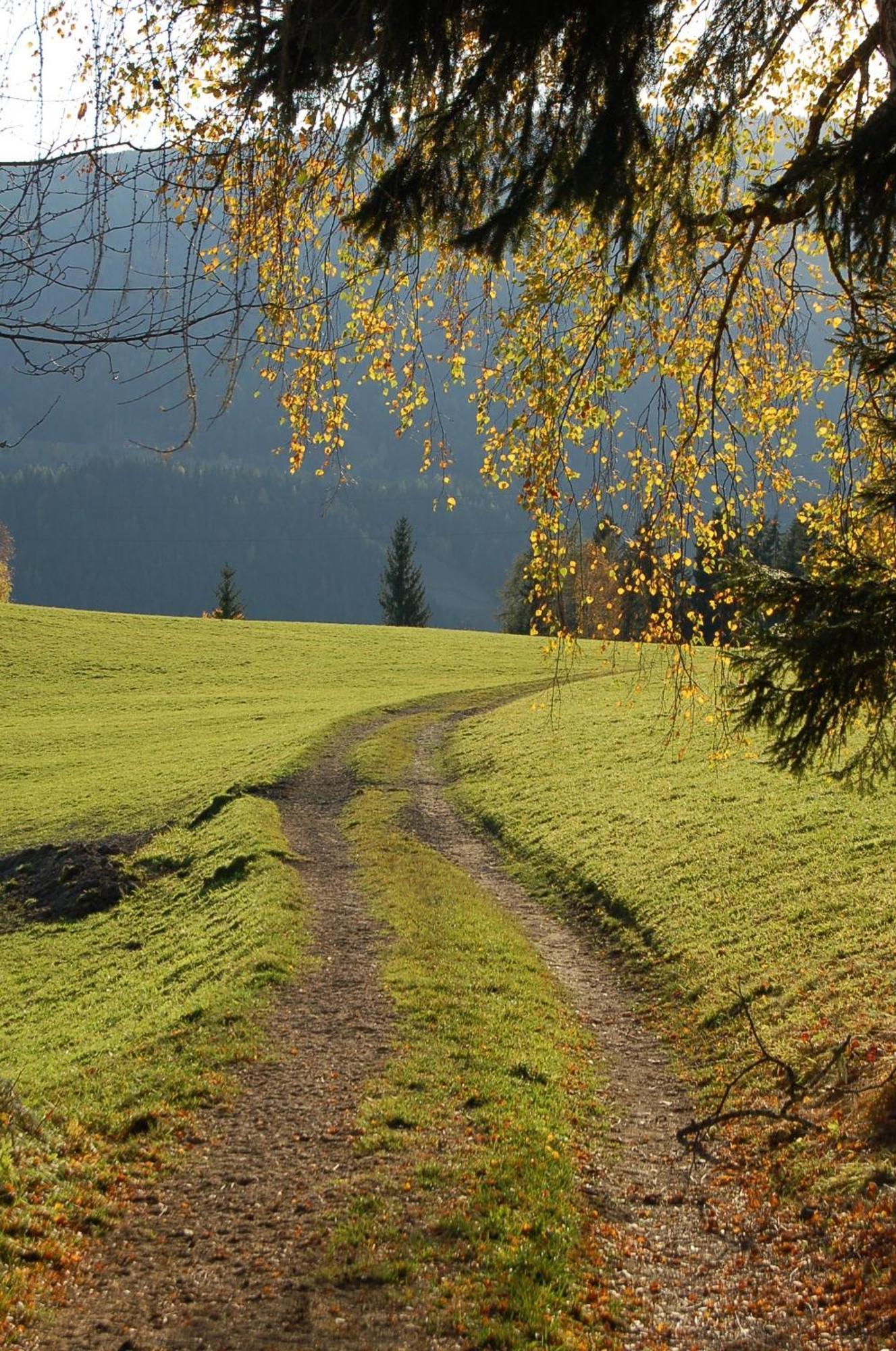 Walcherhof Arriach エクステリア 写真
