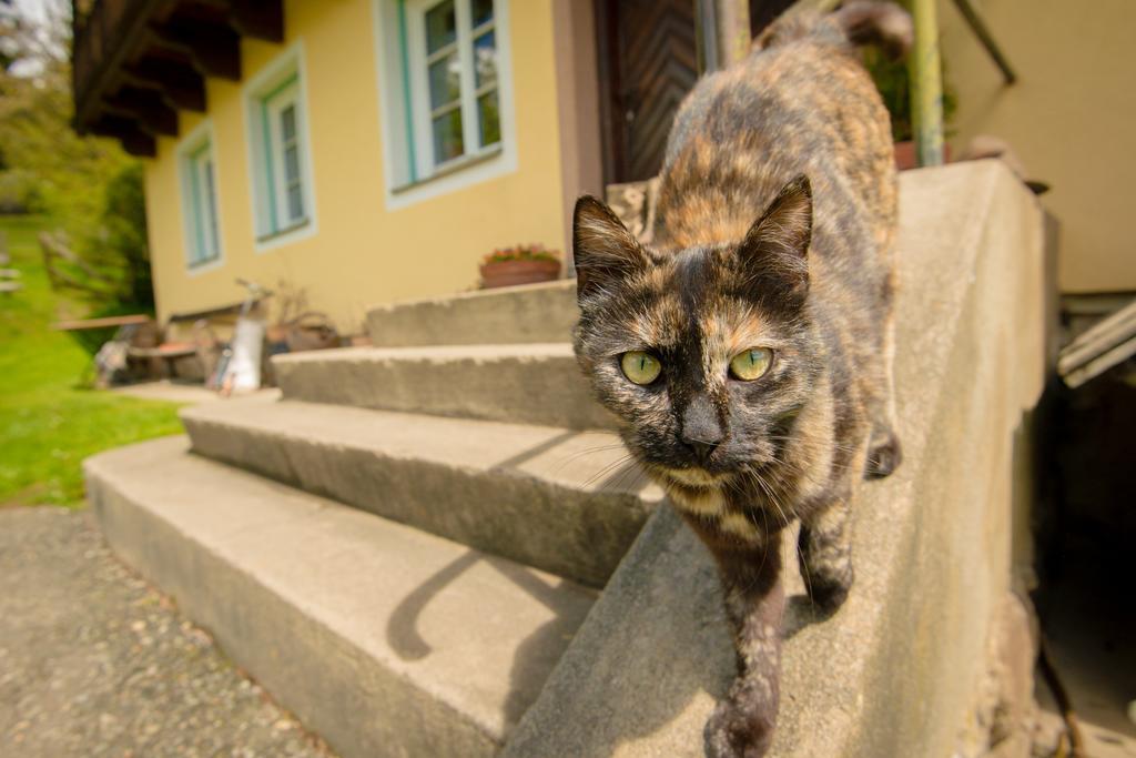 Walcherhof Arriach エクステリア 写真