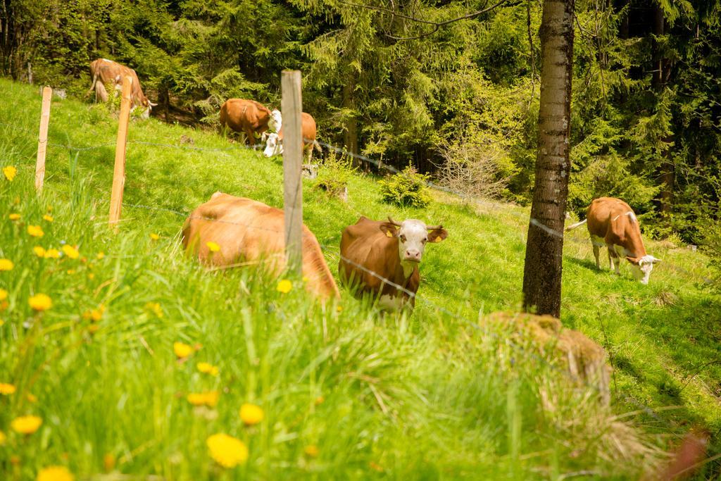 Walcherhof Arriach エクステリア 写真